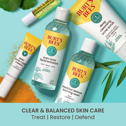 Burt’S Bees Clear and Balanced Deep Cleansing Acne Scrub, Salicylic Acid Acne Treatment with Cica, Facial Cream Exfoliator Helps Unclog Pores and Reduce Acne, 4 Oz